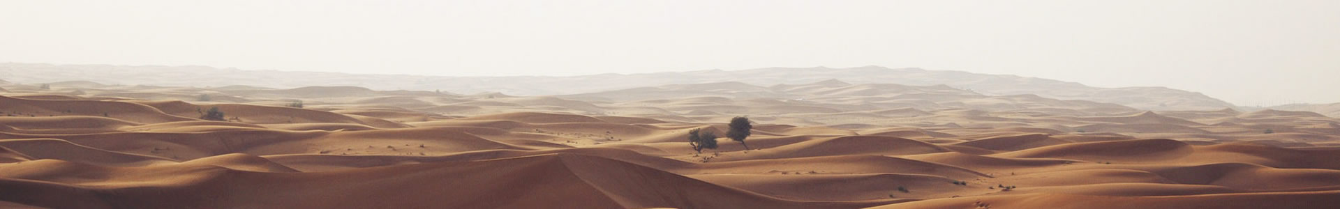 ƹľ޹˾